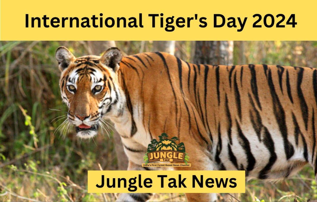 International tiger day 2024: तिथि, थीम, इतिहास, महत्व- JUNGLE TAK