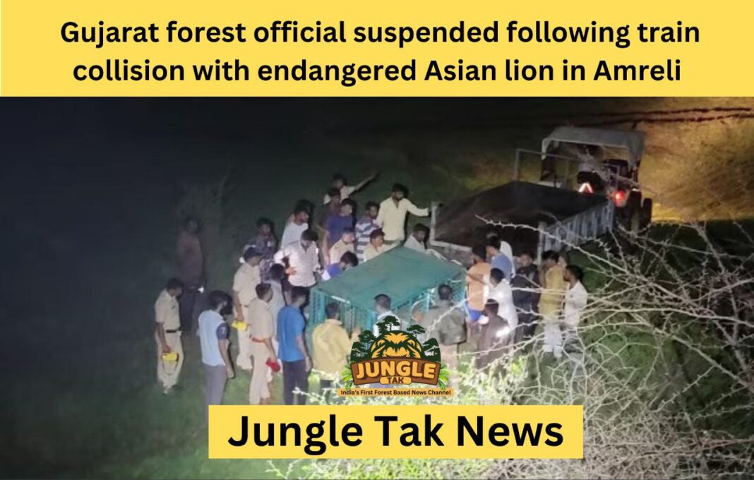 Amreli में rare Asiatic lion को ट्रेन से कुचलने के बाद गुजरात के वन अधिकारी को निलंबित कर दिया गया- JUNGLE TAK