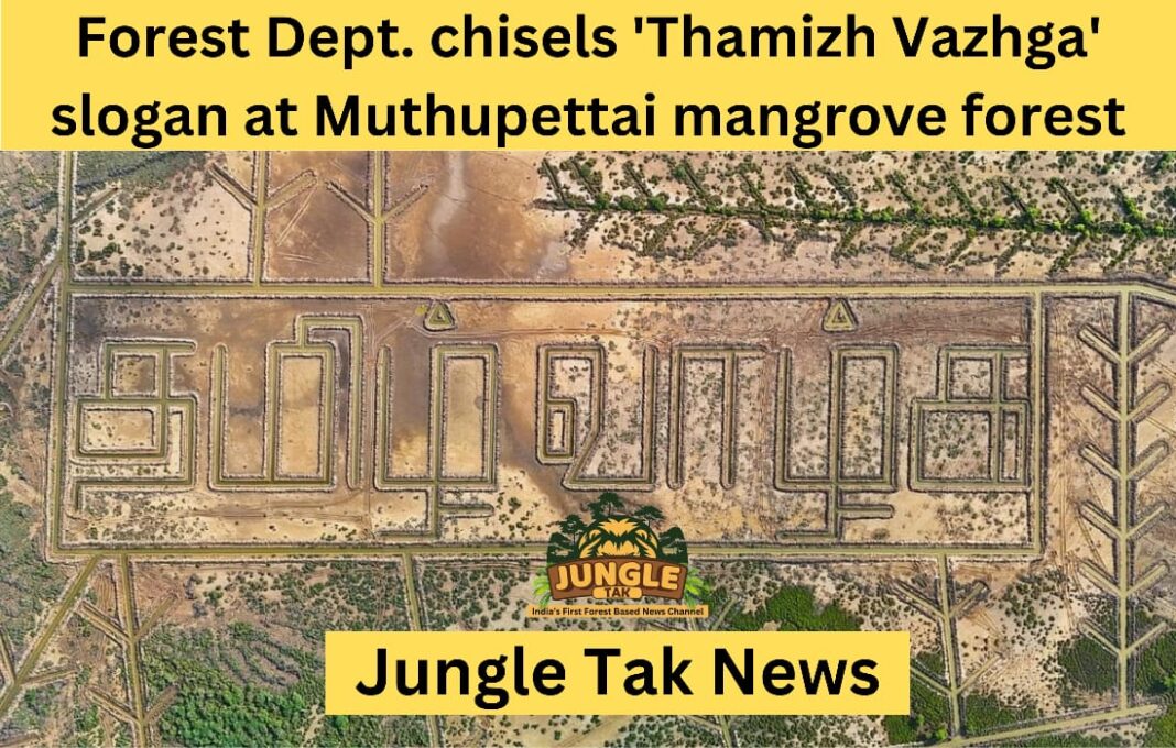 वन विभाग ने Muthupettai mangrove forest में 'Thamizh Vazhga' नारा गढ़ा- JUNGLE TAK