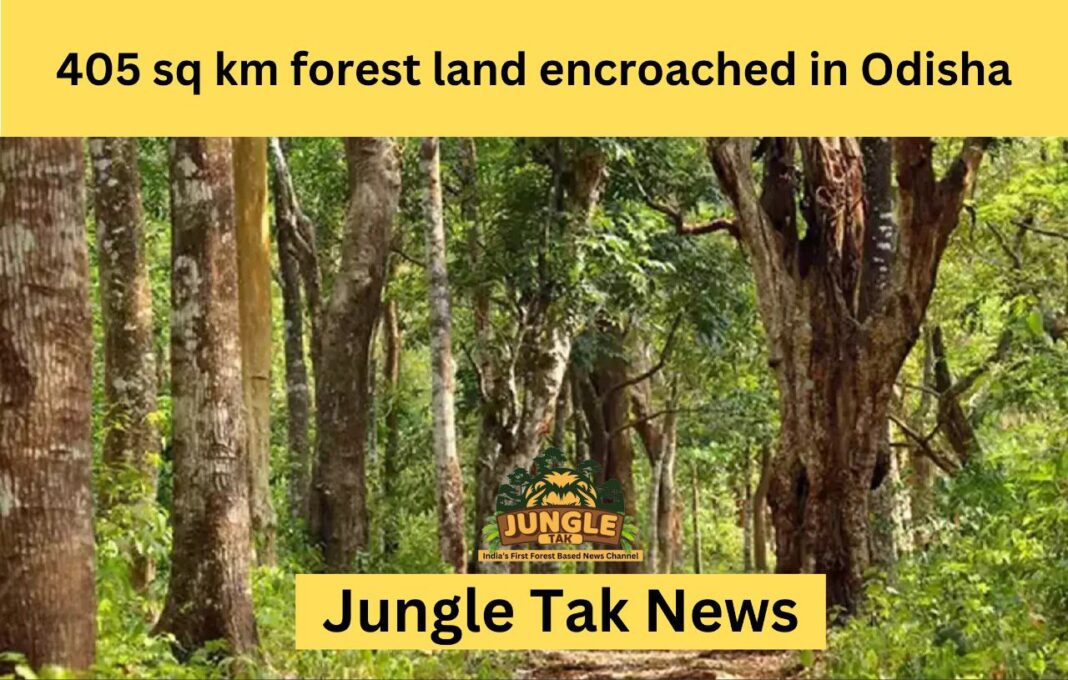 Odisha में 405 वर्ग किलोमीटर वन भूमि पर अतिक्रमण- JUNGLE TAK