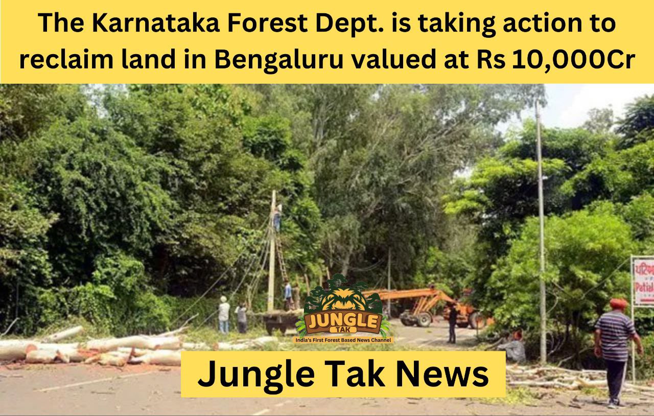 The Karnataka Forest Department is taking action to reclaim land in Bengaluru valued at Rs 10,000 crore- JUNGLE TAK