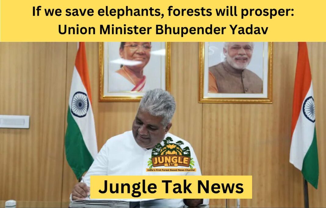हाथियों को बचाएंगे तो जंगल समृद्ध होंगे: Union Minister Bhupender Yadav- JUNGLE TAK