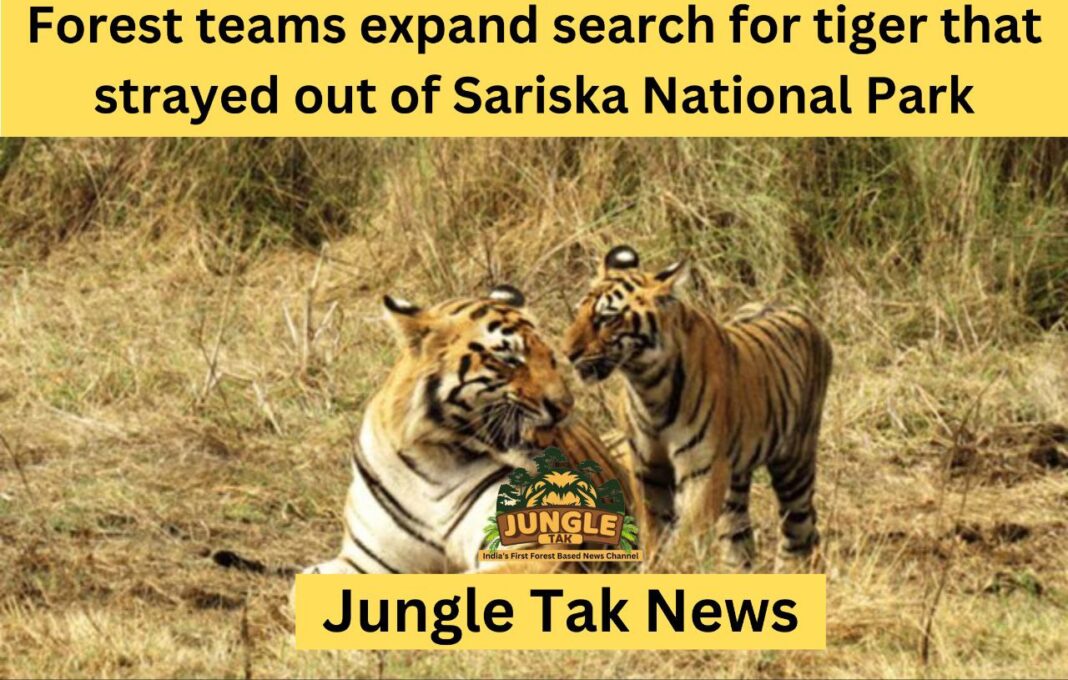 वन विभाग की टीमें Sariska National Park से भटके बाघ की तलाश में जुटी- JUNGLE TAK