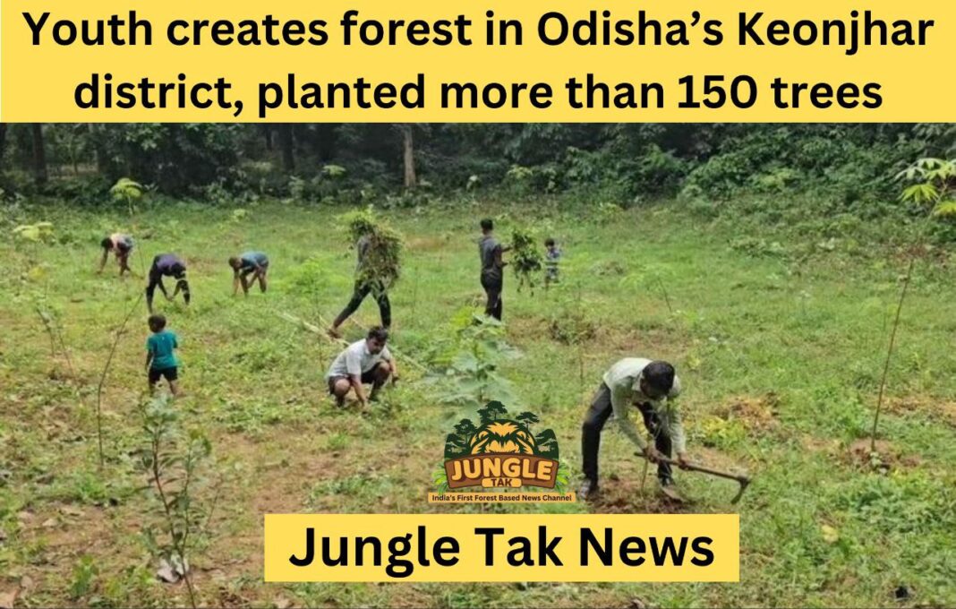 Odisha के Keonjhar जिले में युवाओं ने जंगल बनाया, 150 से अधिक पेड़ लगाए- JUNGLE TAK