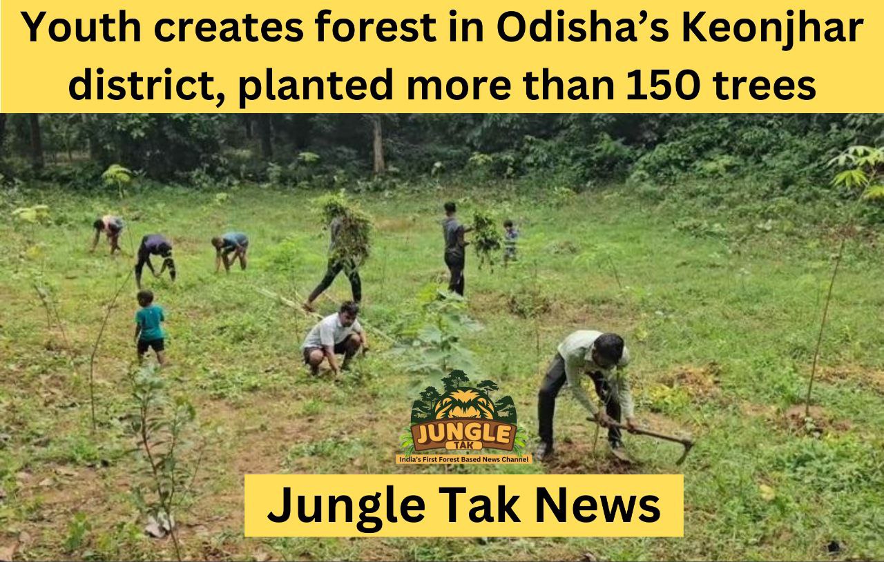 Odisha के Keonjhar जिले में युवाओं ने जंगल बनाया, 150 से अधिक पेड़ लगाए- JUNGLE TAK