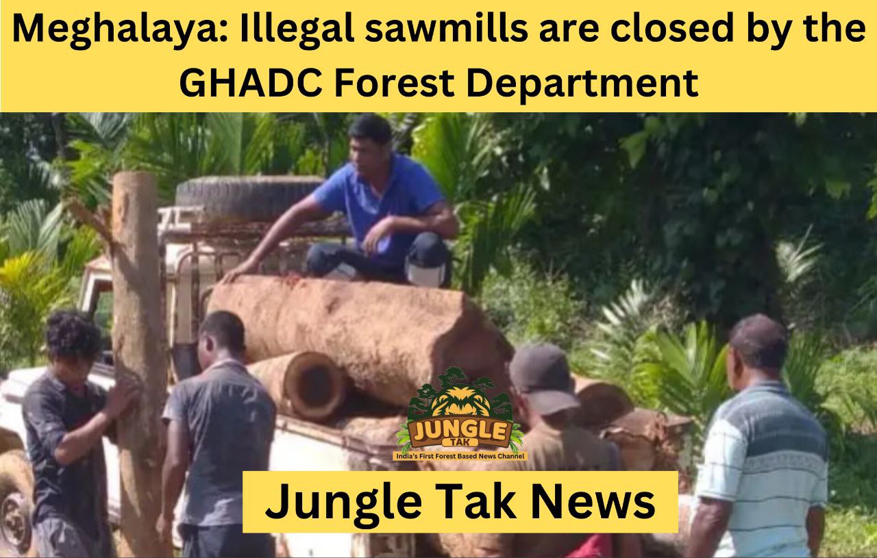 Meghalaya: GHADC वन विभाग ने अवैध Sawmills को बंद कराया- JUNGLE TAK