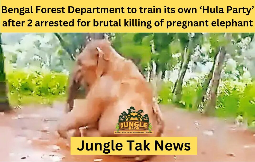 गर्भवती हथिनी की निर्मम हत्या के लिए 2 लोगों की गिरफ़्तारी के बाद बंगाल वन विभाग अपनी ‘Hula Party’ को प्रशिक्षित करेगा- JUNGLE TAK