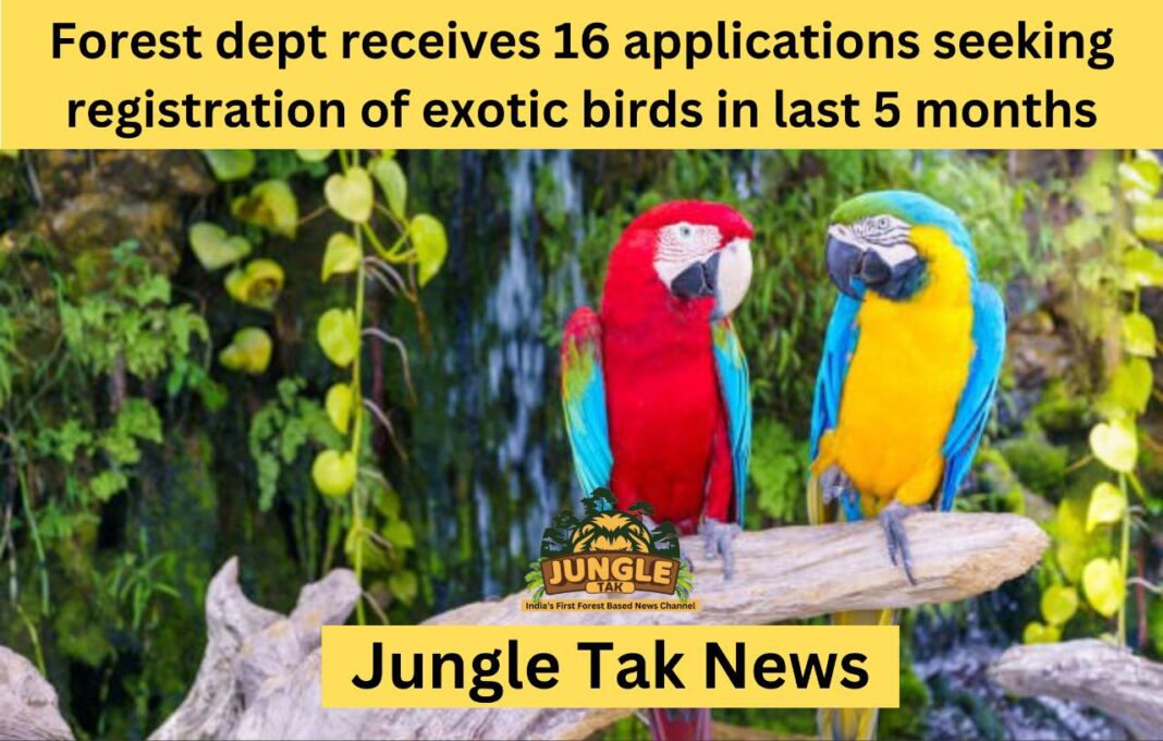 वन विभाग को पिछले 5 महीनों में exotic birds के पंजीकरण के लिए 16 आवेदन प्राप्त हुए- JUNGLE TAK