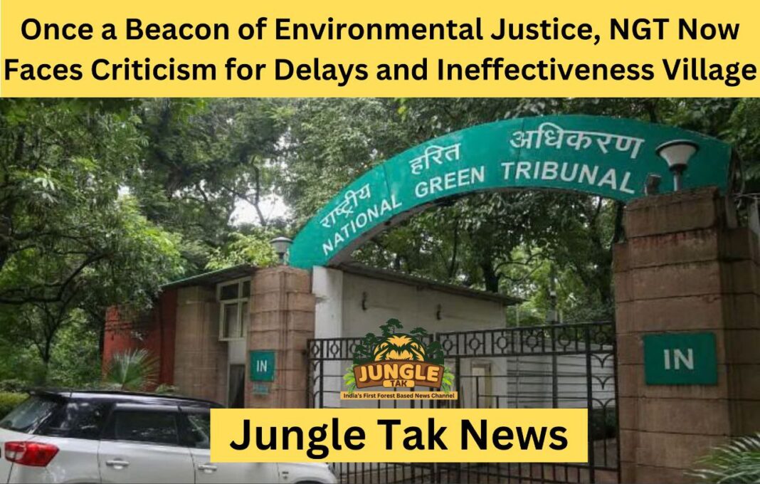 कभी पर्यावरण न्याय का प्रतीक रहे NGT को अब देरी और अप्रभावीता के लिए आलोचना का सामना करना पड़ रहा है- JUNGLE TAK