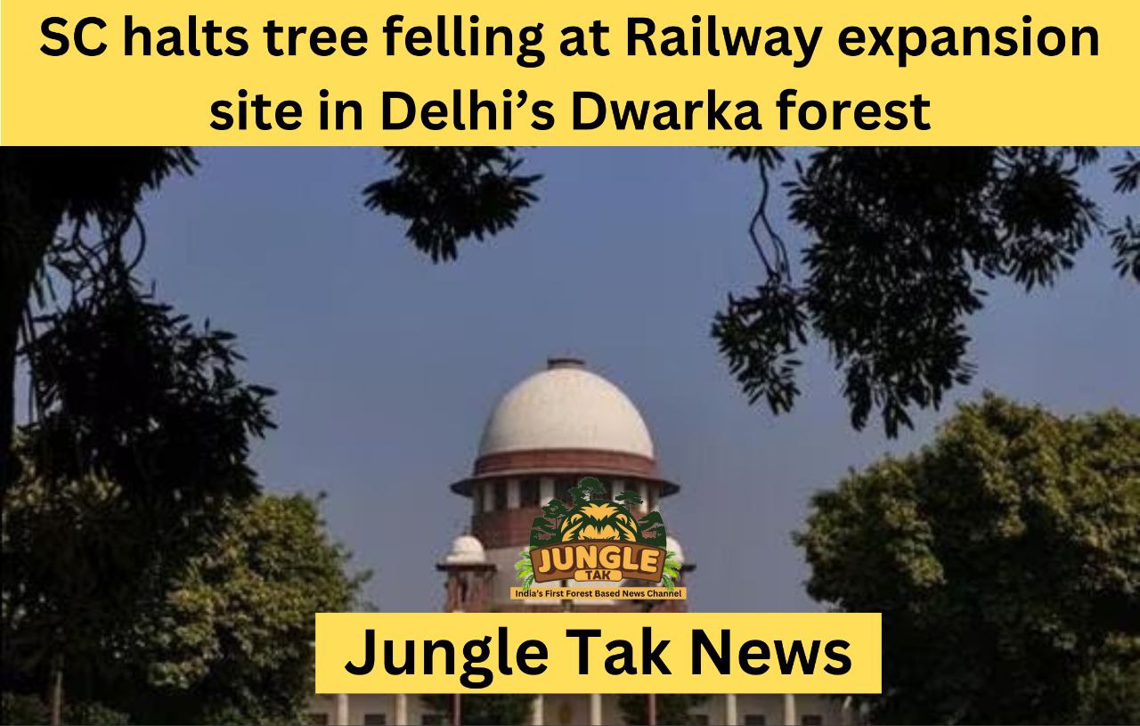 SC ने Delhi के Dwarka forest में रेलवे विस्तार स्थल पर पेड़ों की कटाई पर रोक लगाई- JUNGLE TAK