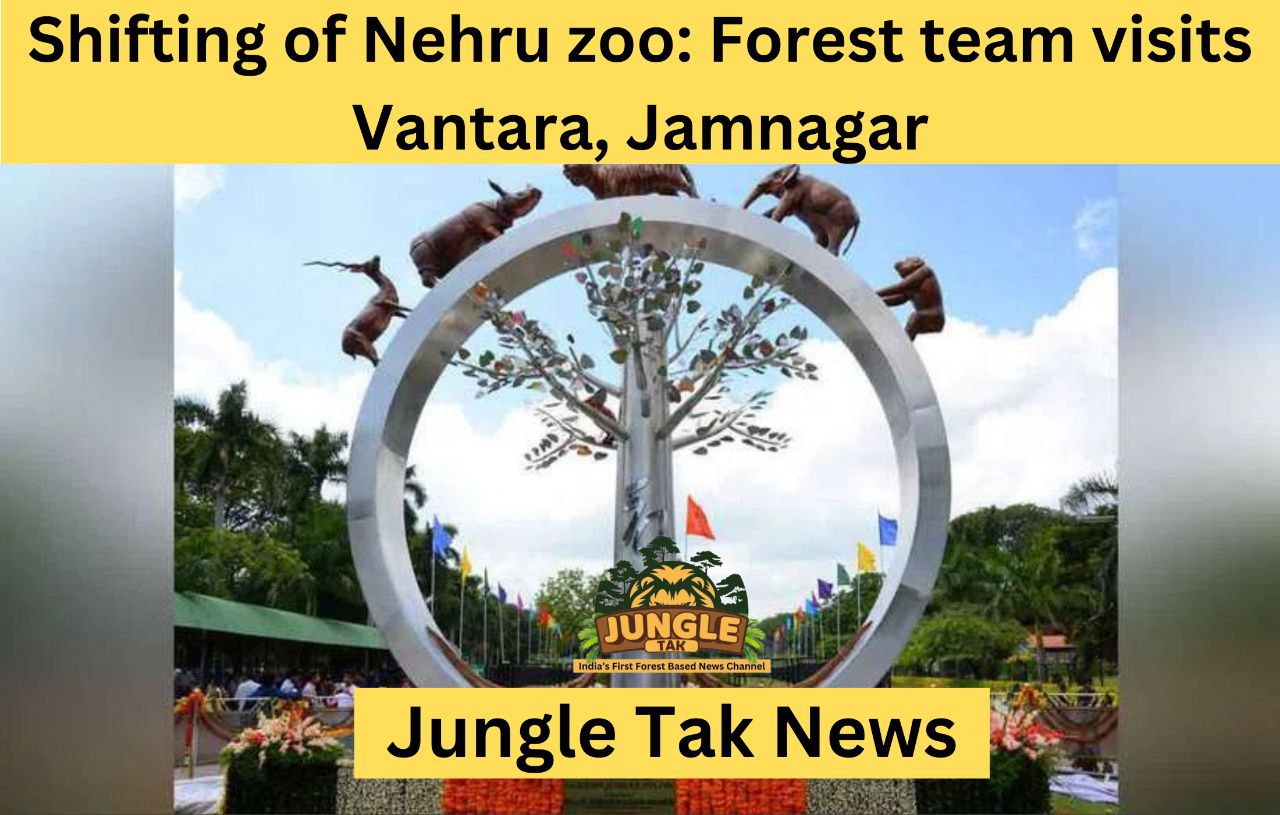 Nehru zoo का स्थानांतरण: वन टीम ने Vantara, जामनगर का दौरा किया- JUNGLE TAK