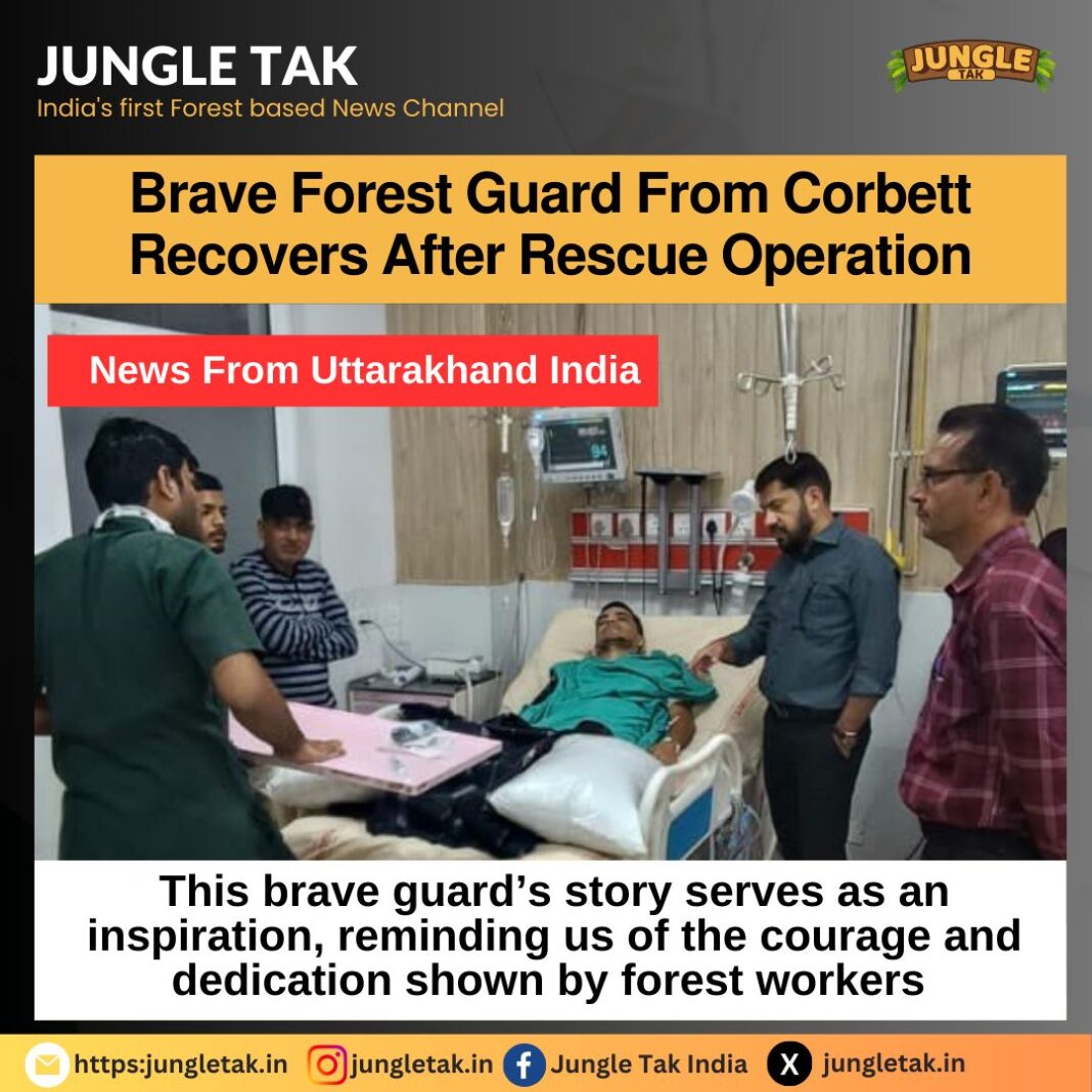 𝗕𝗿𝗮𝘃𝗲 𝗙𝗼𝗿𝗲𝘀𝘁 𝗚𝘂𝗮𝗿𝗱 𝗙𝗿𝗼𝗺 𝗖𝗼𝗿𝗯𝗲𝘁𝘁 𝗥𝗲𝗰𝗼𝘃𝗲𝗿𝘀 𝗔𝗳𝘁𝗲𝗿 𝗥𝗲𝘀𝗰𝘂𝗲 𝗢𝗽𝗲𝗿𝗮𝘁𝗶𝗼𝗻- JUNGLE TAK