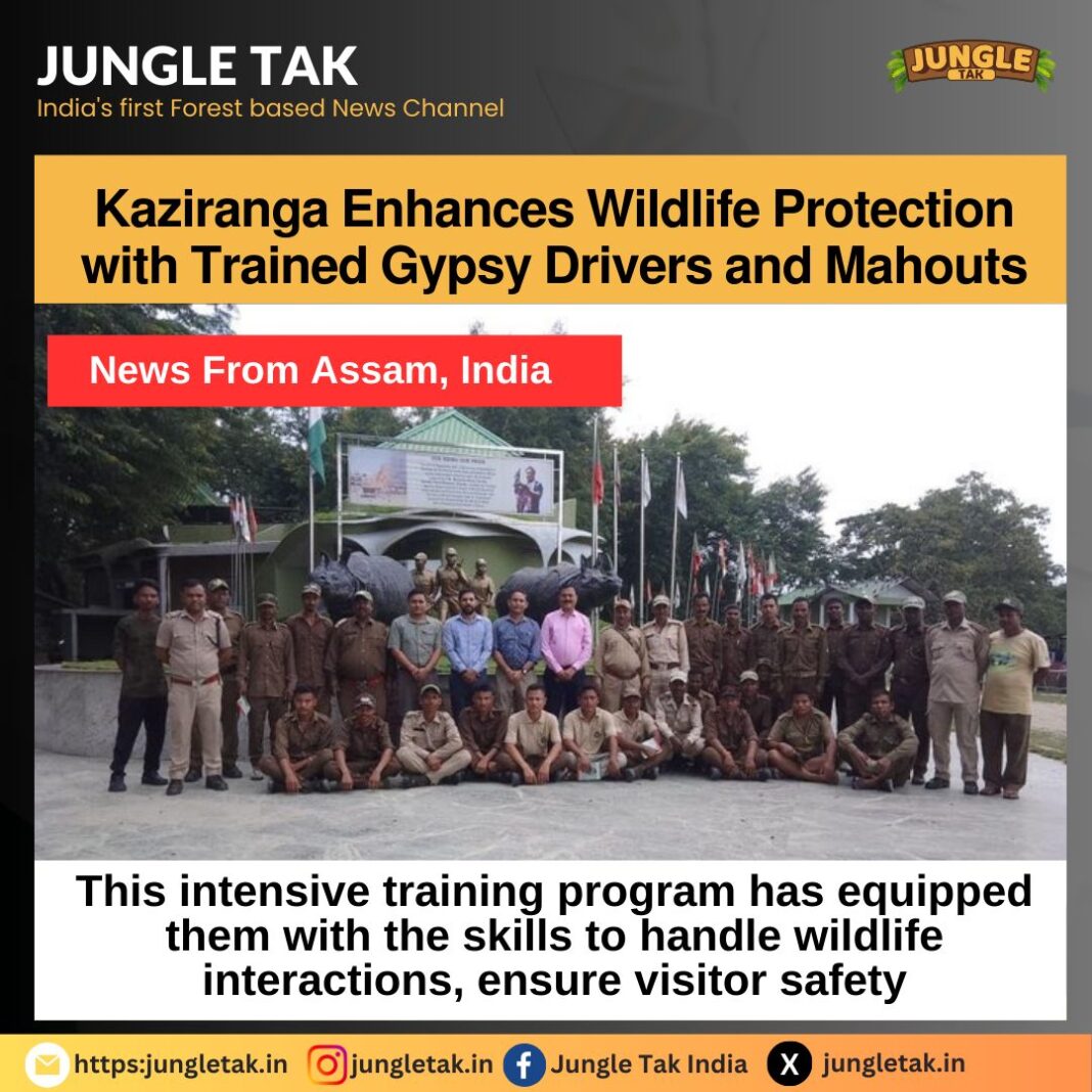 𝗞𝗮𝘇𝗶𝗿𝗮𝗻𝗴𝗮 𝗡𝗮𝘁𝗶𝗼𝗻𝗮𝗹 𝗣𝗮𝗿𝗸 𝗘𝗻𝗵𝗮𝗻𝗰𝗲𝘀 𝗪𝗶𝗹𝗱𝗹𝗶𝗳𝗲 𝗣𝗿𝗼𝘁𝗲𝗰𝘁𝗶𝗼𝗻 𝘄𝗶𝘁𝗵 𝗧𝗿𝗮𝗶𝗻𝗲𝗱 𝗚𝘆𝗽𝘀𝘆 𝗗𝗿𝗶𝘃𝗲𝗿𝘀 𝗮𝗻𝗱 𝗠𝗮𝗵𝗼𝘂𝘁𝘀- JUNGLE TAK