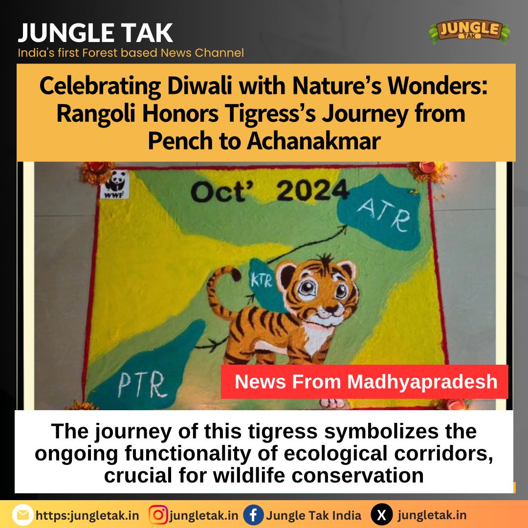 𝗖𝗲𝗹𝗲𝗯𝗿𝗮𝘁𝗶𝗻𝗴 𝗗𝗶𝘄𝗮𝗹𝗶 𝘄𝗶𝘁𝗵 𝗡𝗮𝘁𝘂𝗿𝗲’𝘀 𝗪𝗼𝗻𝗱𝗲𝗿𝘀: 𝗥𝗮𝗻𝗴𝗼𝗹𝗶 𝗛𝗼𝗻𝗼𝗿𝘀 𝗧𝗶𝗴𝗿𝗲𝘀𝘀’𝘀 𝗝𝗼𝘂𝗿𝗻𝗲𝘆 𝗳𝗿𝗼𝗺 𝗣𝗲𝗻𝗰𝗵 𝘁𝗼 𝗔𝗰𝗵𝗮𝗻𝗮𝗸𝗺𝗮𝗿- JUNGLE TAK