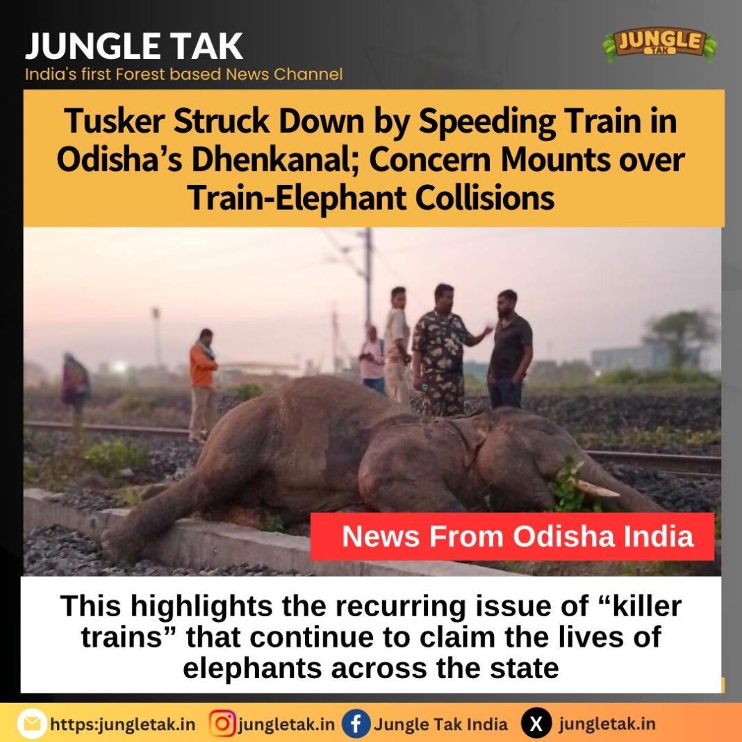 𝗧𝘂𝘀𝗸𝗲𝗿 𝗦𝘁𝗿𝘂𝗰𝗸 𝗗𝗼𝘄𝗻 𝗯𝘆 𝗦𝗽𝗲𝗲𝗱𝗶𝗻𝗴 𝗧𝗿𝗮𝗶𝗻 𝗶𝗻 𝗢𝗱𝗶𝘀𝗵𝗮’𝘀 𝗗𝗵𝗲𝗻𝗸𝗮𝗻𝗮𝗹; 𝗖𝗼𝗻𝗰𝗲𝗿𝗻 𝗠𝗼𝘂𝗻𝘁𝘀 𝗼𝘃𝗲𝗿 𝗧𝗿𝗮𝗶𝗻-𝗘𝗹𝗲𝗽𝗵𝗮𝗻𝘁 𝗖𝗼𝗹𝗹𝗶𝘀𝗶𝗼𝗻𝘀- JUNGLE TAK