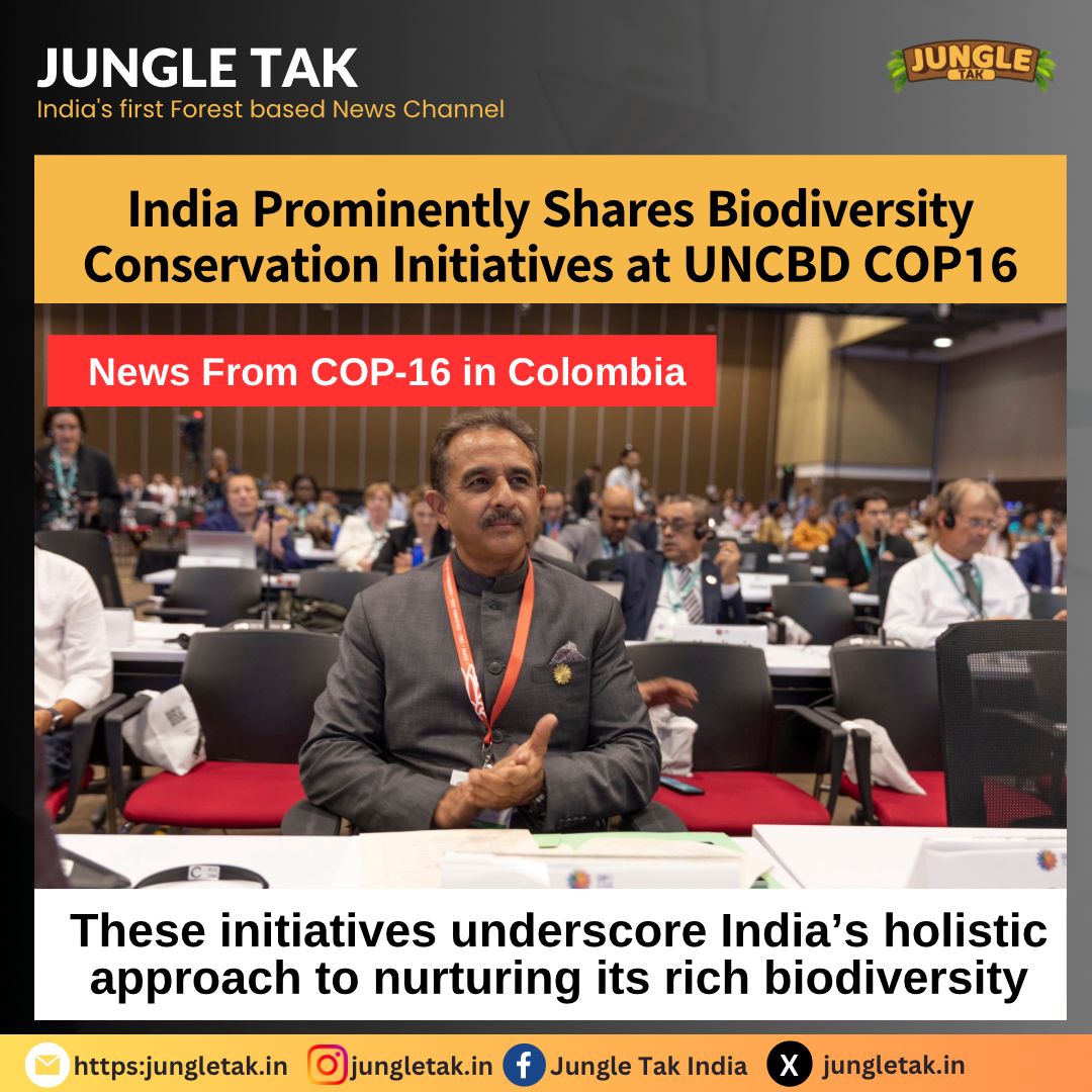 𝗜𝗻𝗱𝗶𝗮 𝗣𝗿𝗼𝗺𝗶𝗻𝗲𝗻𝘁𝗹𝘆 𝗦𝗵𝗮𝗿𝗲𝘀 𝗕𝗶𝗼𝗱𝗶𝘃𝗲𝗿𝘀𝗶𝘁𝘆 𝗖𝗼𝗻𝘀𝗲𝗿𝘃𝗮𝘁𝗶𝗼𝗻 𝗜𝗻𝗶𝘁𝗶𝗮𝘁𝗶𝘃𝗲𝘀 𝗮𝘁 𝗨𝗡𝗖𝗕𝗗 𝗖𝗢𝗣𝟭𝟲 𝗶𝗻 𝗖𝗼𝗹𝗼𝗺𝗯𝗶𝗮-JUNGLE TAK