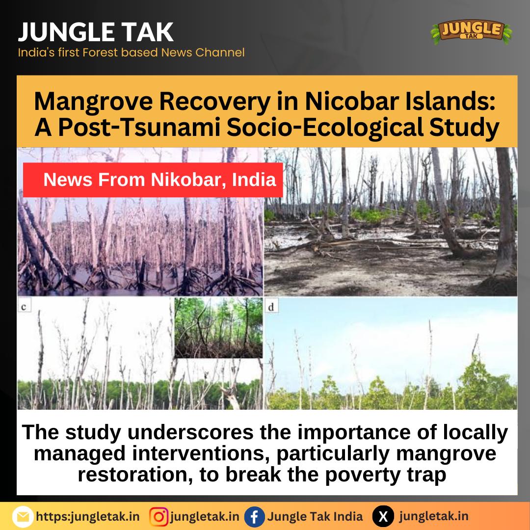 Mangrove Recovery in Nicobar Islands: A Post-Tsunami Socio-Ecological Study- JUNGLE TAK