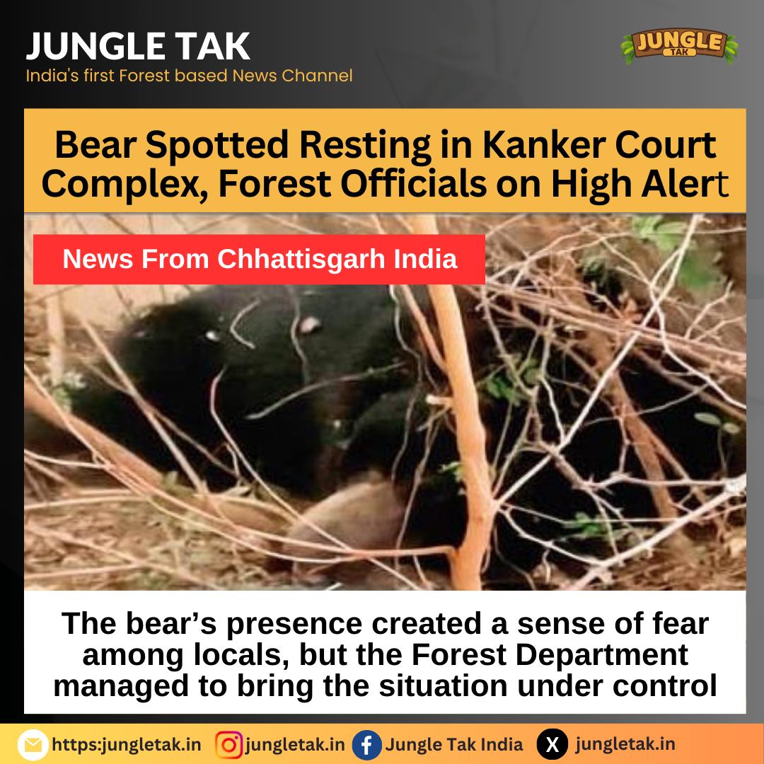 Wildlife Encounters Stir Concerns in Chhattisgarh: Bear Sighting at Kanker District Court and Leopard Spotted Nearby-JUNGLE TAK