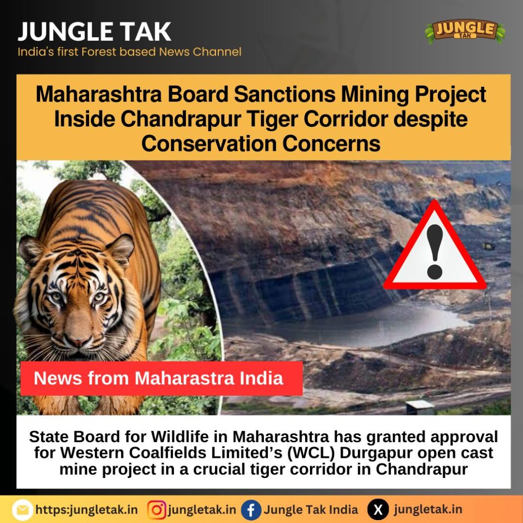 Maharashtra Board Sanctions Mining Project Inside Chandrapur Tiger Corrider despite Conversation concerns- JUNGLE TAK