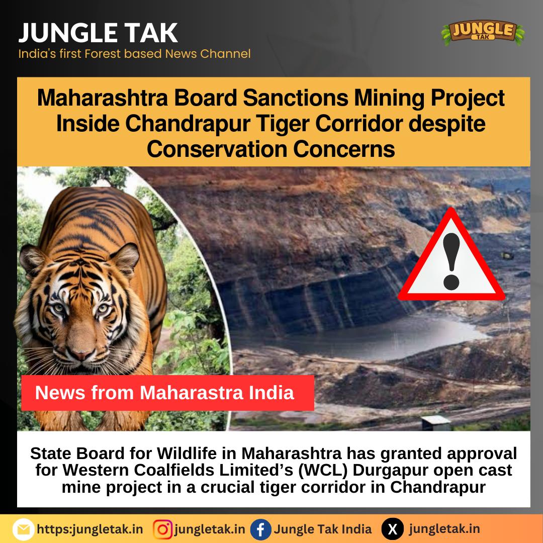 Maharashtra Board Sanctions Mining Project Inside Chandrapur Tiger Corrider despite Conversation concerns- JUNGLE TAK