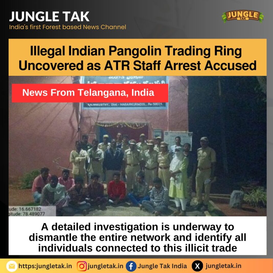 Illegal Indian Pangolian Trading Ring Uncovered as ATR Staff Arrest Accused-JUNGLE TAK