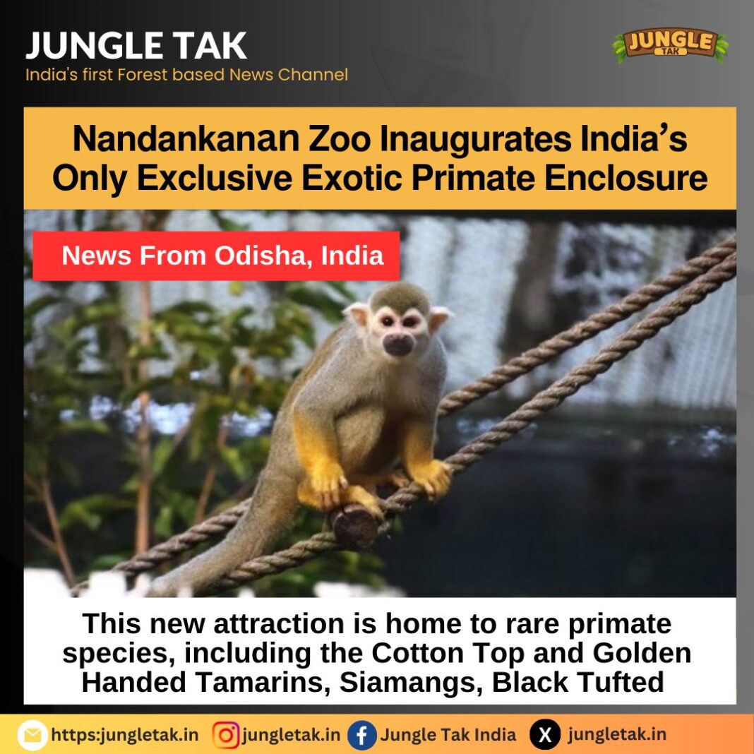 Nandankanan zoo inaugurates India's only exclusive exotic primate enclosure- JUNGLE TAK