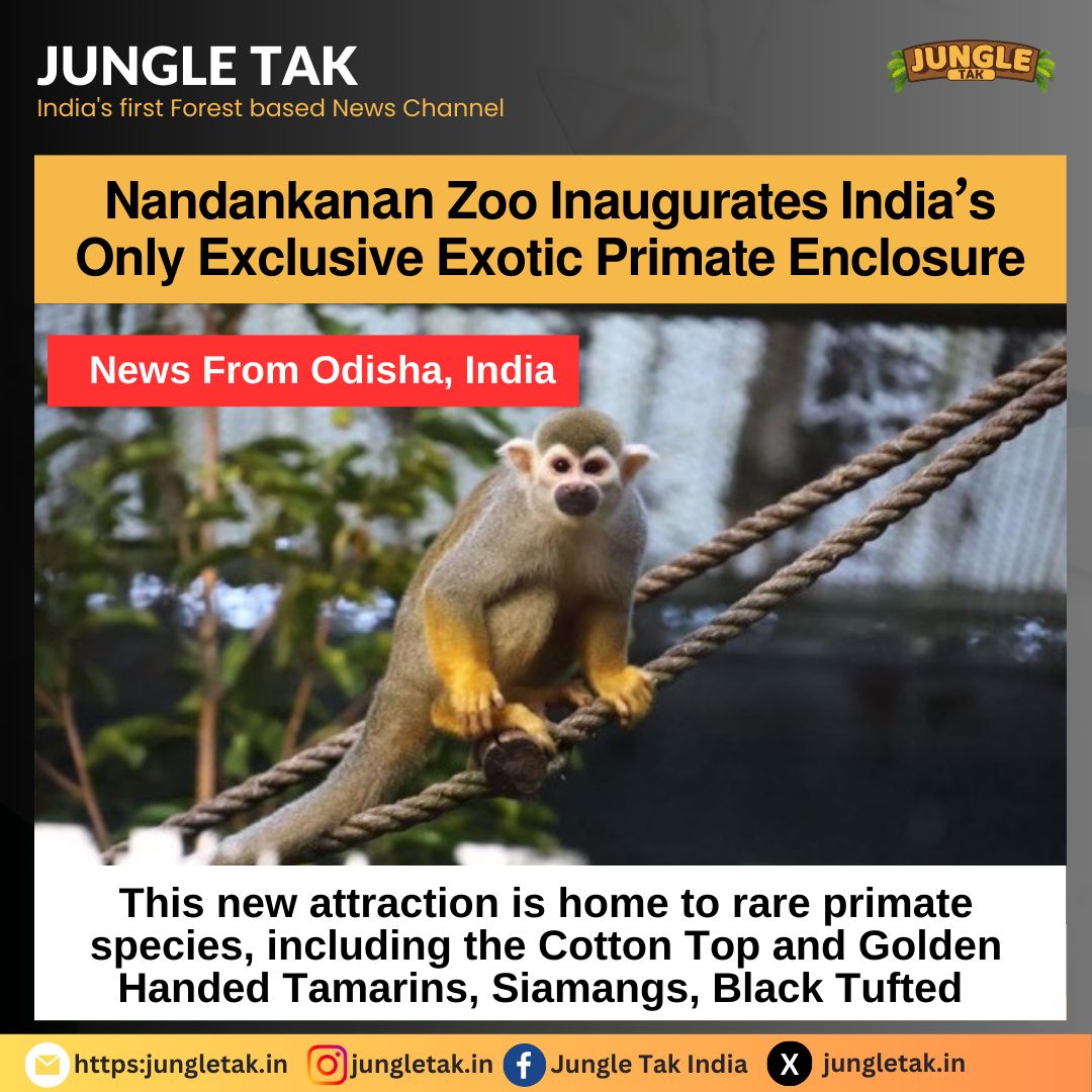Nandankanan zoo inaugurates India's only exclusive exotic primate enclosure- JUNGLE TAK