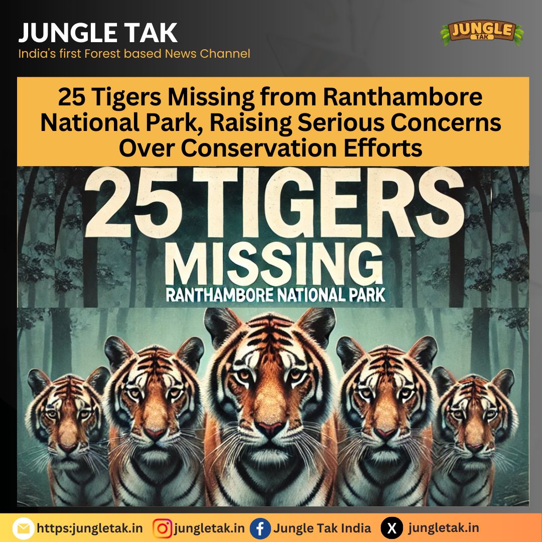Ranthambore National Park: 25 out of 75 tigers reported missing, raising serious concerns- JUNGLE TAK