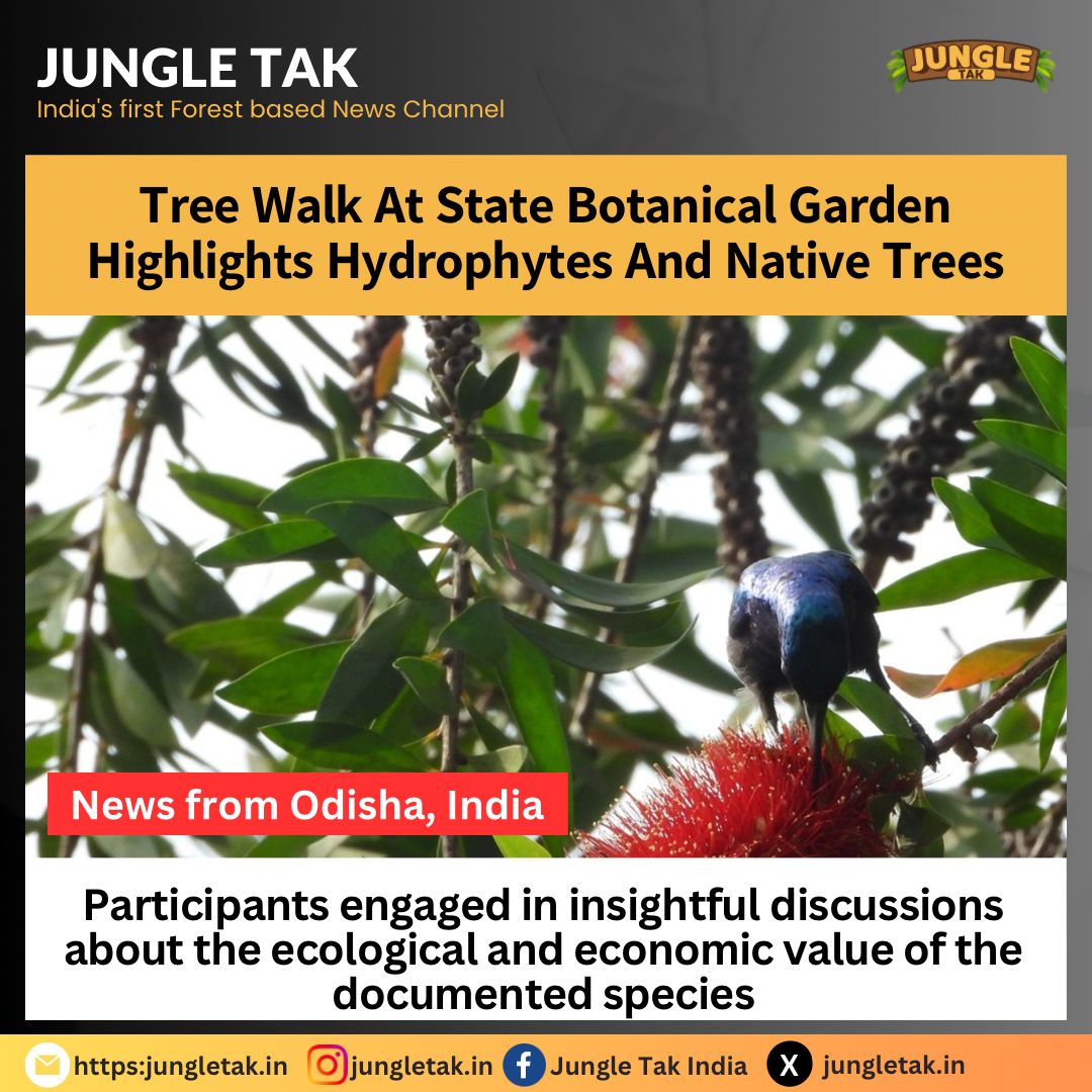 Tree walk at State Botanical Garden Bhubaneswar highlights hydrophytes and native trees- JUNGLE TAK