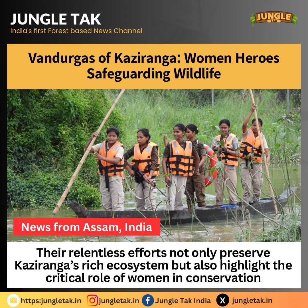 Vandurgas of Kaziranga: Women heroes safeguarding wildlife- JUNGLE TAK