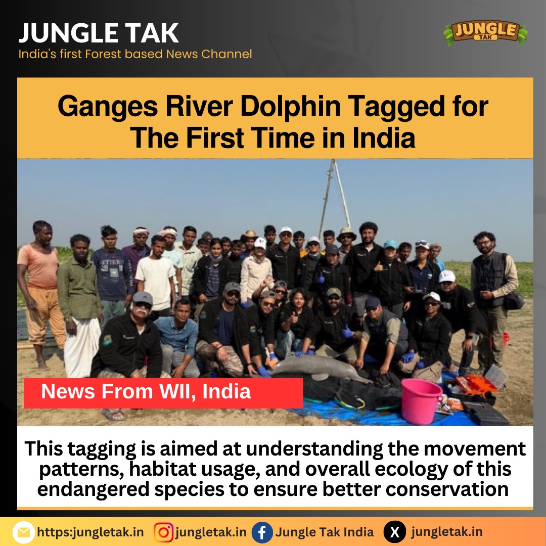 Ganges river Dolphin tagged for the first time in India- JUNGLE TAK