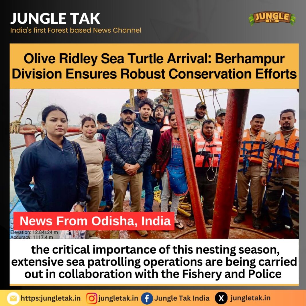 Olive Ridley Sea Turtle arrival: Berhampur division ensures robust coversation efforts- JUNGLE TAK