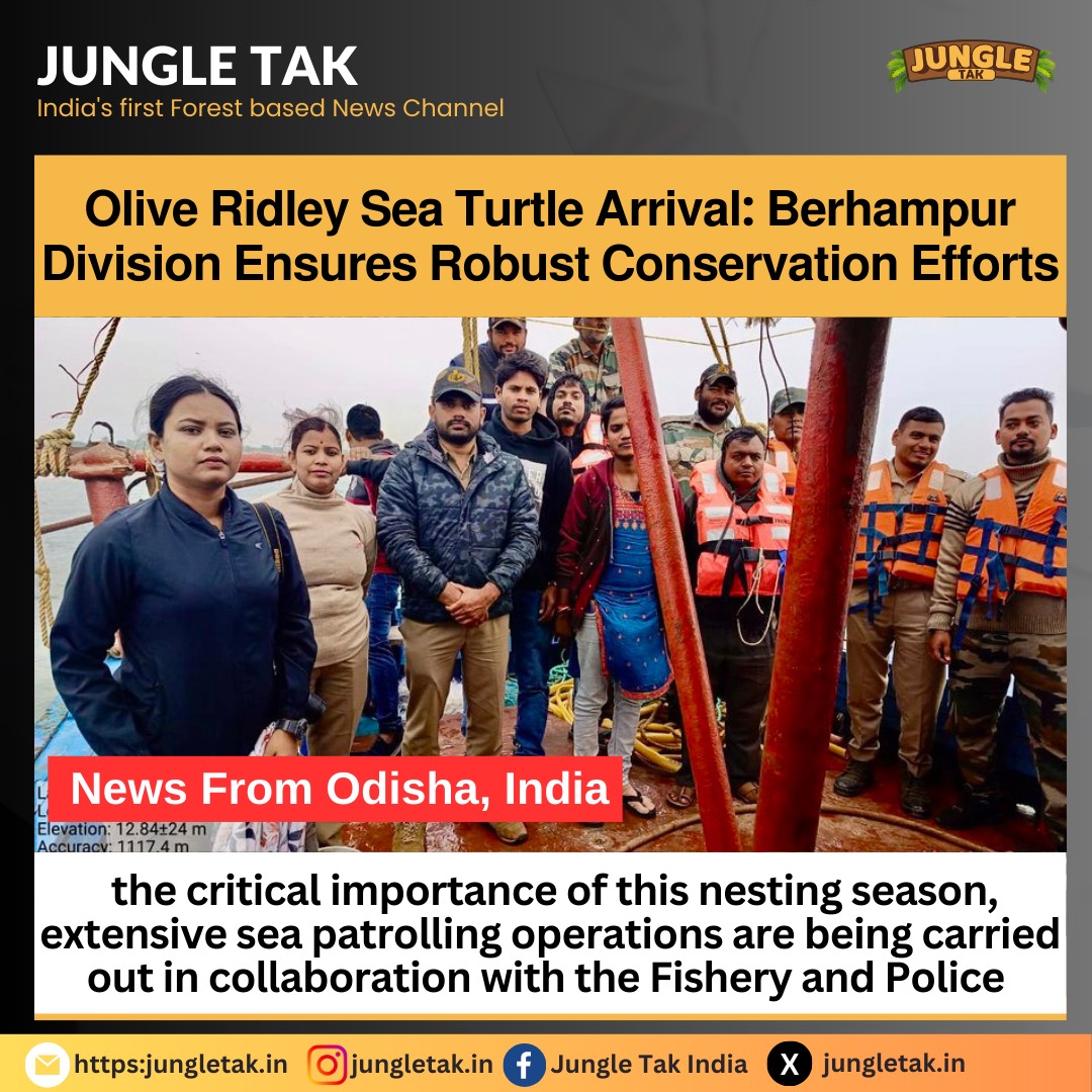 Olive Ridley Sea Turtle arrival: Berhampur division ensures robust coversation efforts- JUNGLE TAK