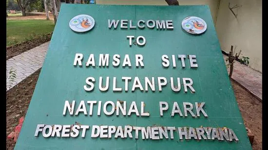 Forest dept action on 110 illegal structures near Sultanpur bird sanctuary- JUNGLE TAK