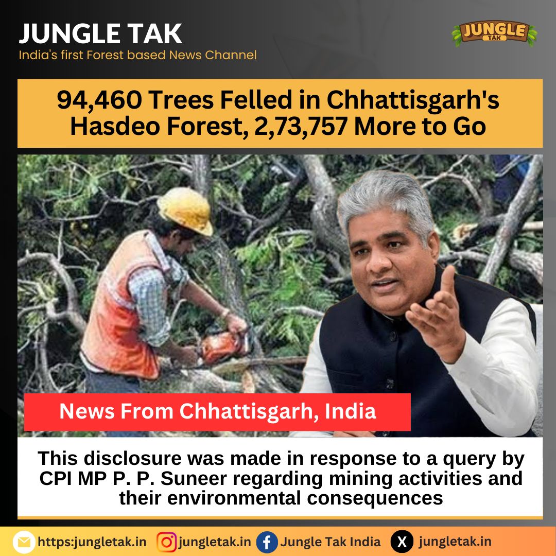 Nearly 1 lakh trees felled in Hasdeo's PAKEB mining area, reveals union minister- JUNGLE TAK