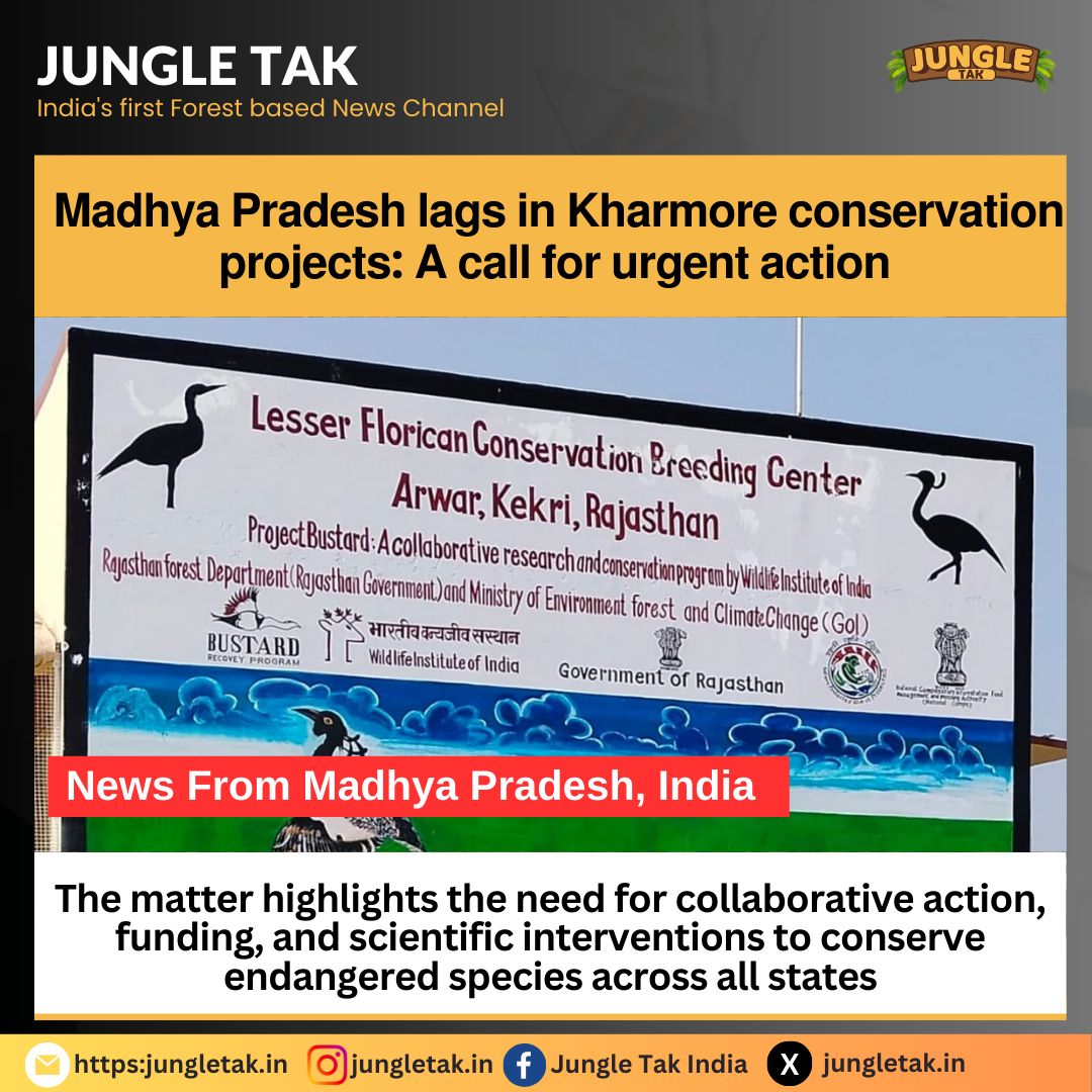 Inequality in Kharmor conservation in Madhya Pradesh: Urgent action required- JUNGLE TAK
