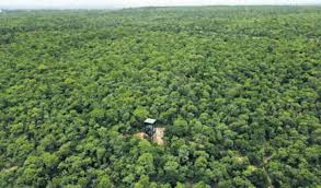 Two years resulted in a 105.87 sq km loss of forest cover in Telangana: Report-JUNGLE TAK