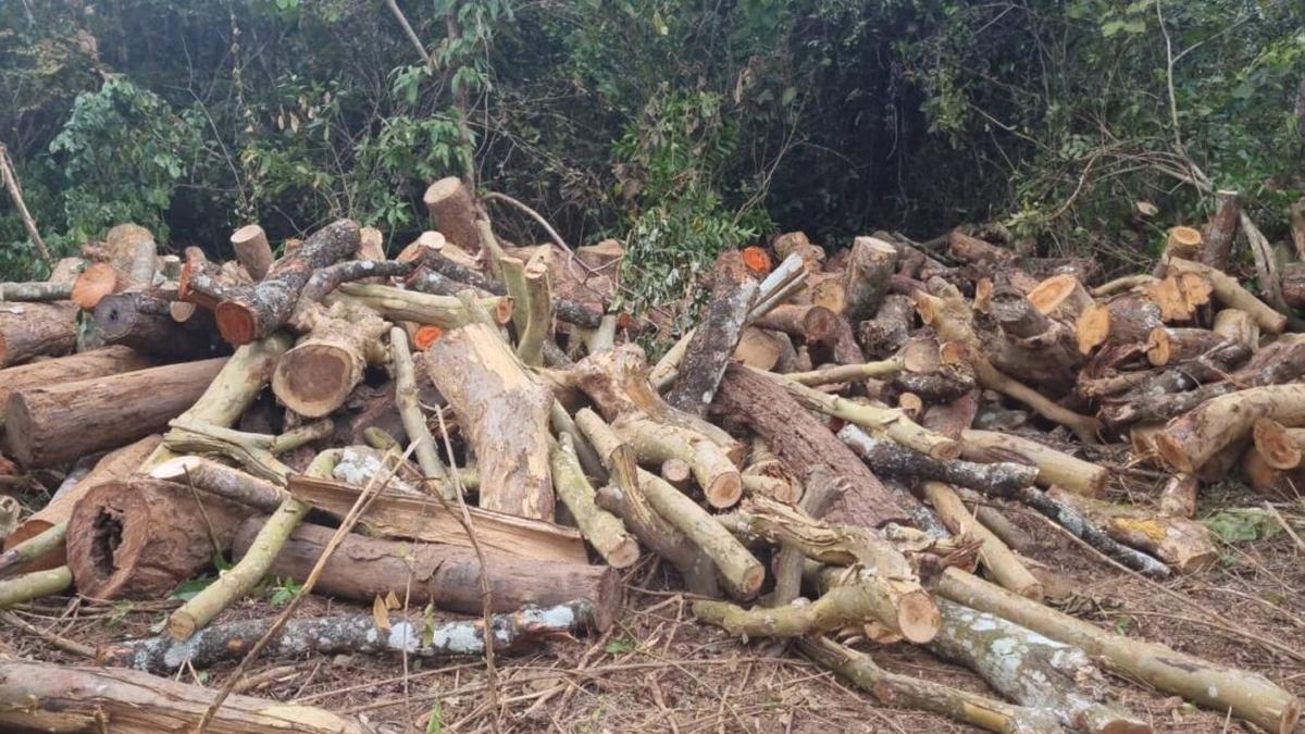 Attack on forest department staff after seizure of illegally cut timber- JUNGLE TAK