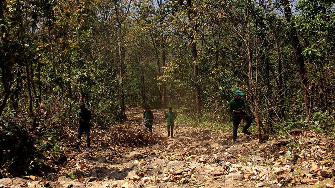 100 Odisha villages to directly receive funds to carry out forest protection programmes- JUNGLE TAK