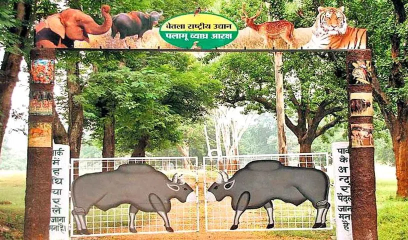 Jharkhand Forest dept plans to revive dwindling Bison population at PTR- JUNGLE TAK