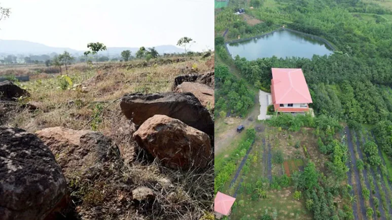8 Years, 40,000 Trees: How Indore Man Turned Barren Hill Into A Forest- JUNGLE TAK