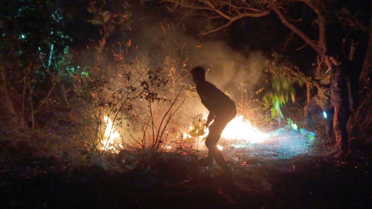 AI-powered surveillance system helps avert forest fire in Hosur division- JUNGLE TAK