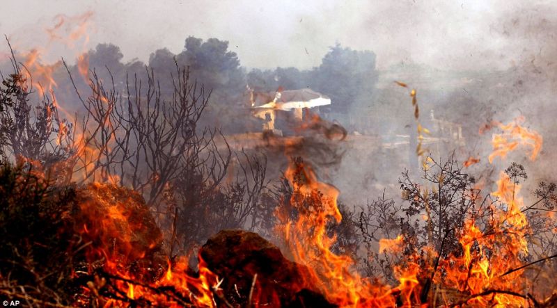13,479 and 18,174 forest fires detected in Telangana and Andhra Pradesh: MoEFCC-JUNGLE TAK