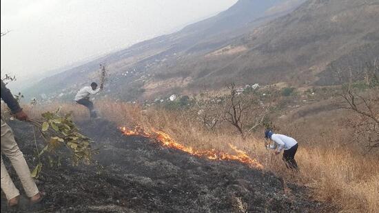 Maharashtra reported 97 large forest fire incidents since January 2025- JUNGLE TAK