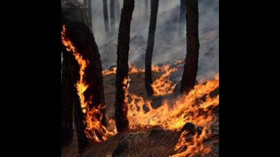 Rise in forest fires in J&K amid prolonged dry spell- JUNGLE TAK