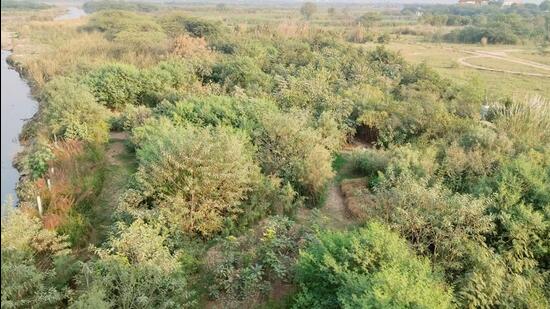 New features on Parivesh 2.0 to help fast-track forest clearances- JUNGLE TAK