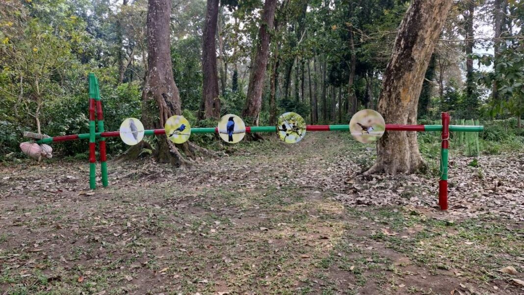 Assam forest for birdwatchers reopens after 16 years- JUNGLE TAK