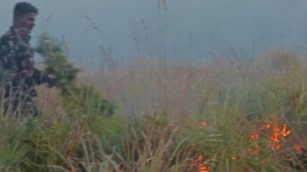 Patrols intensified to prevent forest fires in Coimbatore Division-JUNGLE TAK