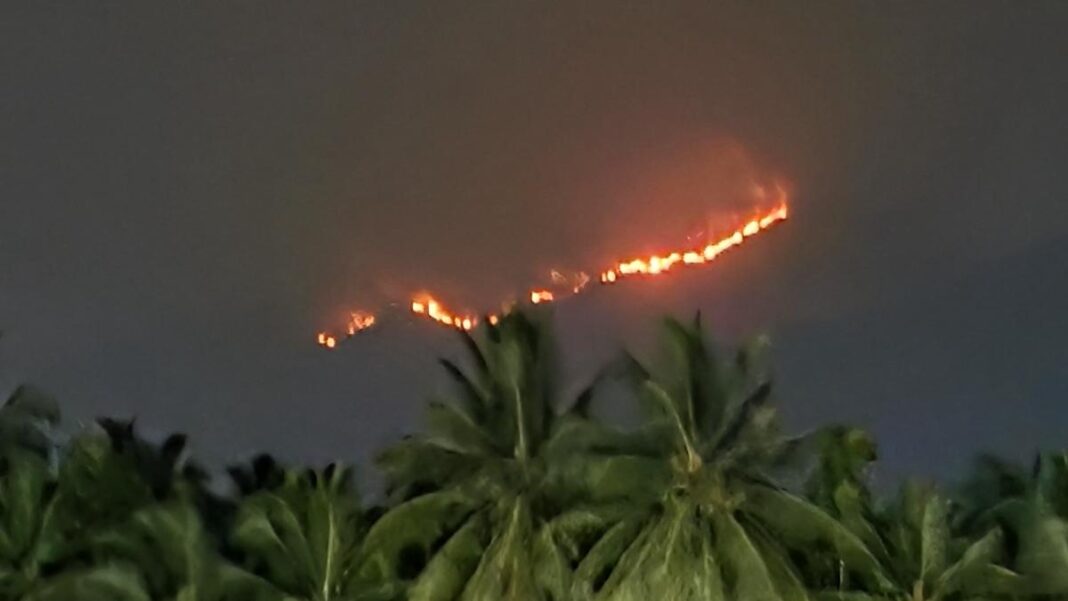 Forest fire continues along Tamil Nadu-Kerala border near Coimbatore- JUNGLE TAK