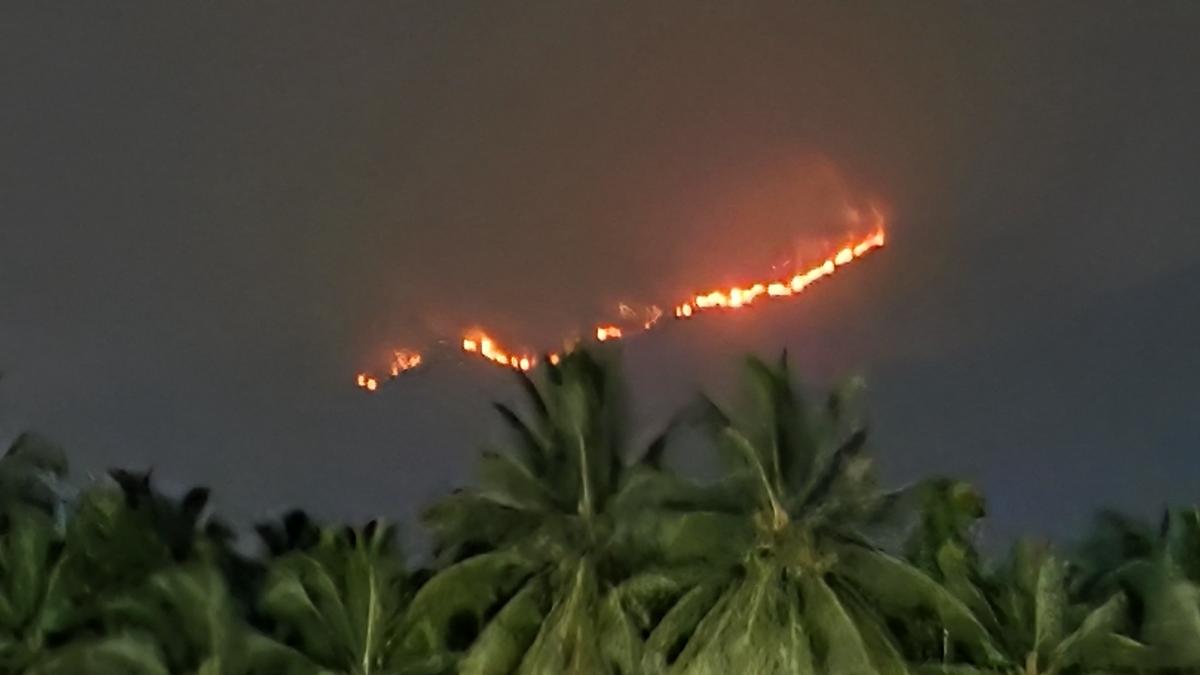 Forest fire continues along Tamil Nadu-Kerala border near Coimbatore- JUNGLE TAK